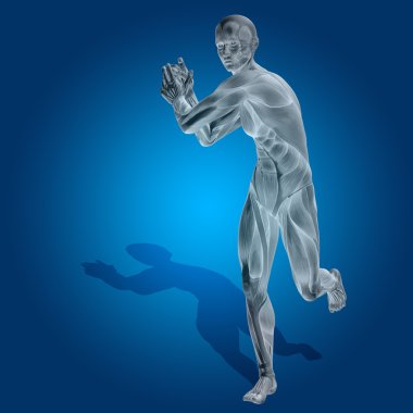 stong kasları ile insan