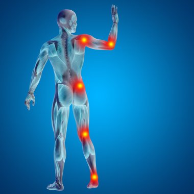 Anatomi için kaslı adam