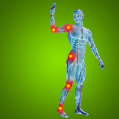 Anatomi için kaslı adam