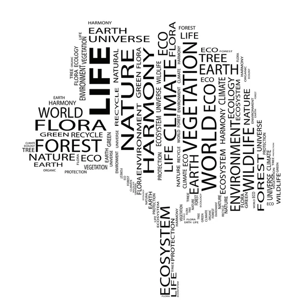 Ecologie tekst als wordcloud — Stockfoto