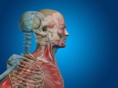  kavramsal insan adam