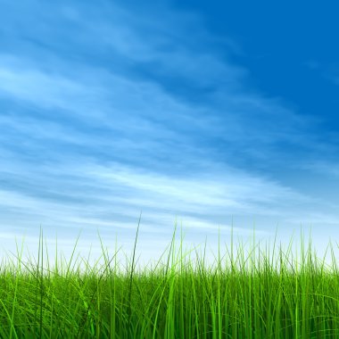  Taze ve doğal çim sahası 