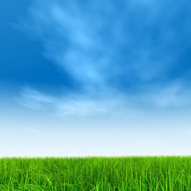  Taze ve doğal çim sahası 