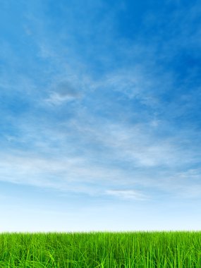  Taze ve doğal çim sahası 