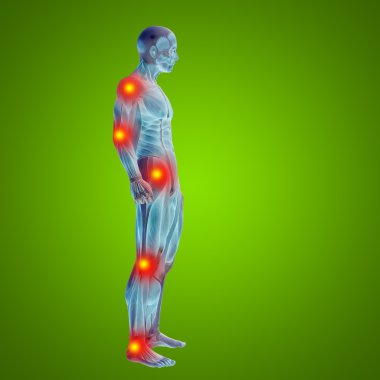 Anatomi için kaslı adam