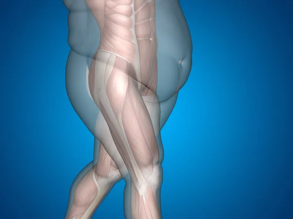Sovrappeso vs uomo in forma sottile — Foto Stock