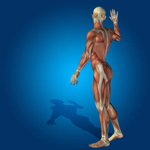 Stong menselijke met spieren — Stockfoto
