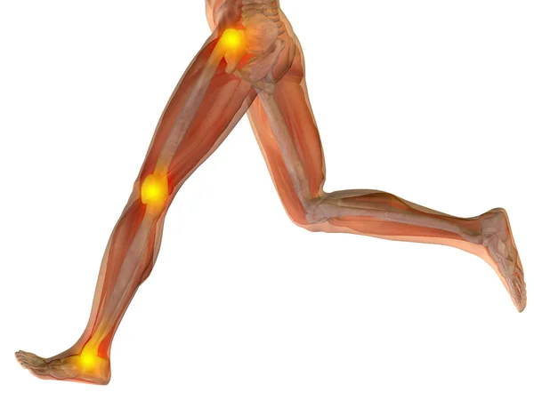 Joints or articular pain — Stock Photo, Image