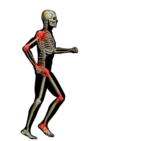 Human man anatomy — Stock Photo, Image