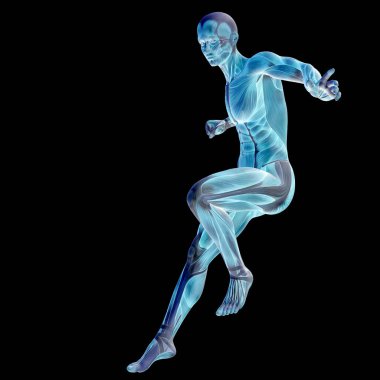 Anatomi tasarımlar için kaslı adam.