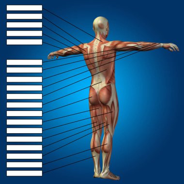 adam kasları ve metin kutuları