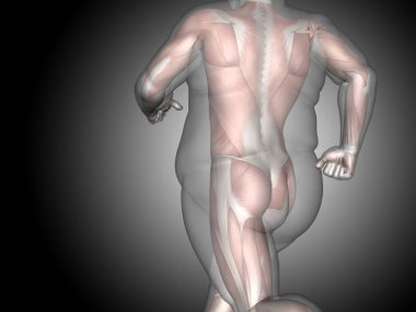 adam kilolu vs ince uygun