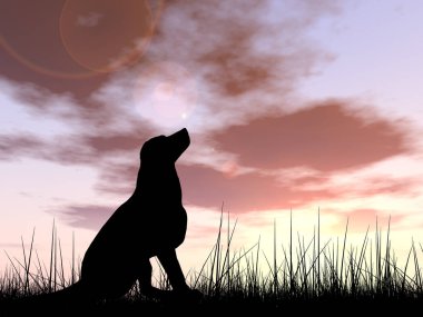 güzel siyah şirin köpek siluet