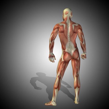 kavramsal güçlü insan