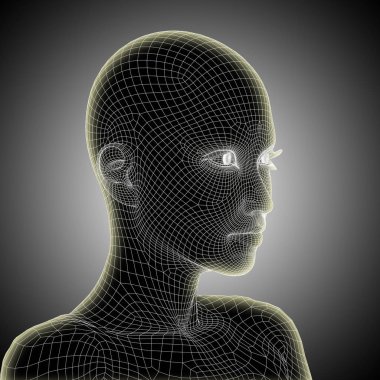 insan kadın kafası 