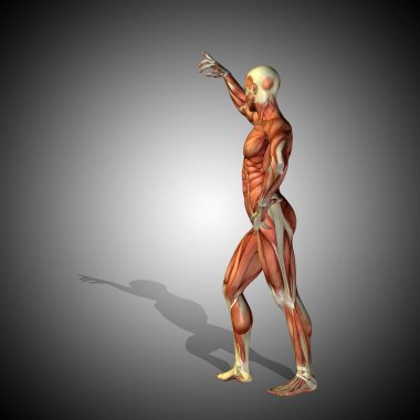 kavramsal güçlü insan