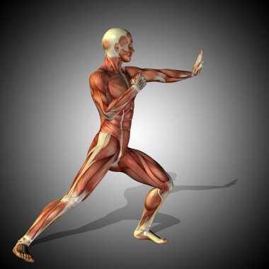 kavramsal güçlü insan