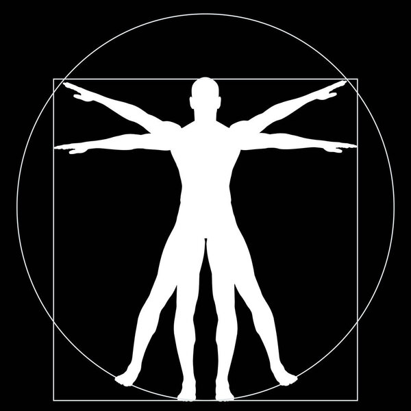 proportion anatomy body 