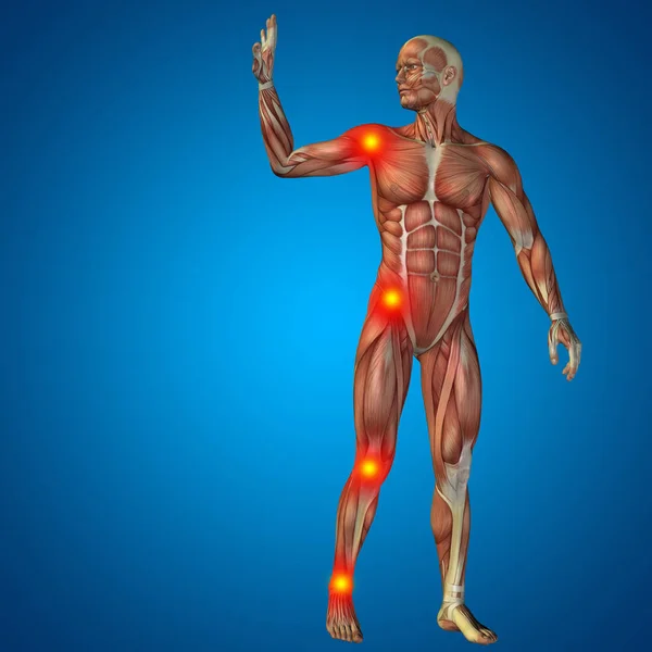Hombre con músculos para diseños de anatomía — Foto de Stock