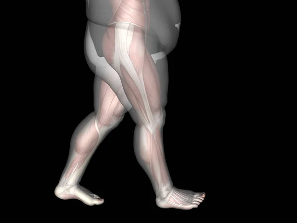 Übergewicht gegen schlanken Mann — Stockfoto