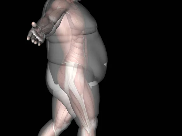 Надмірна вага проти стрункої людини — стокове фото