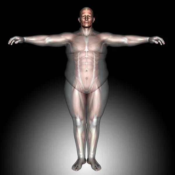 과 체중 vs 슬림 남자 — 스톡 사진