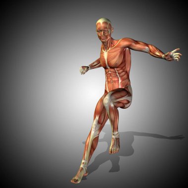 kavramsal güçlü insan