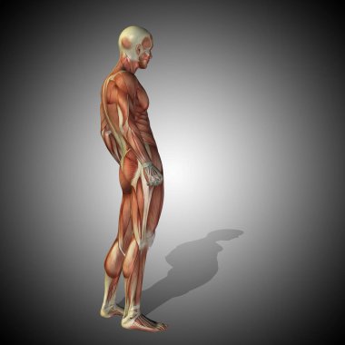 kavramsal güçlü insan