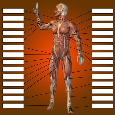 adam kasları ve metin kutuları 