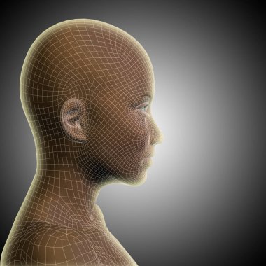 insan kadın kafası 