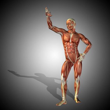 kavramsal güçlü insan