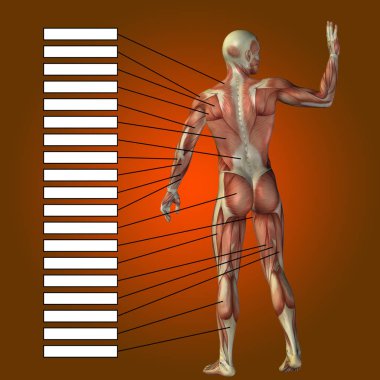 adam kasları ve metin kutuları