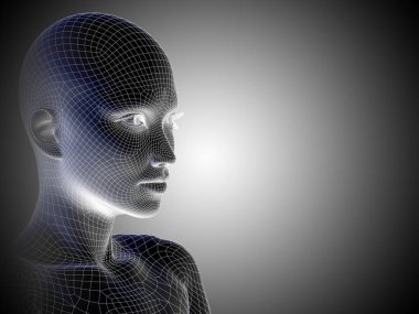 insan kadın kafası 