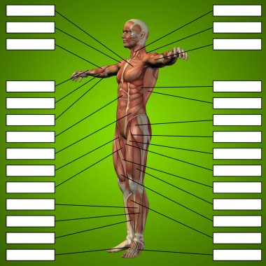 adam kasları ve metin kutuları