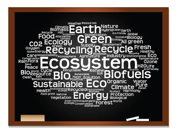 Ekologi word cloud text — Stockfoto