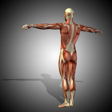 kavramsal güçlü insan