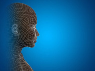 insan kadın kafası 