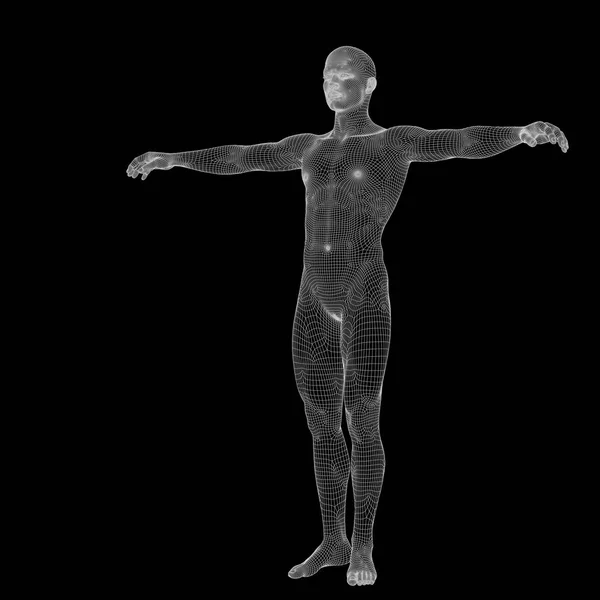 Anatomia człowieka mężczyzna wykonane — Zdjęcie stockowe