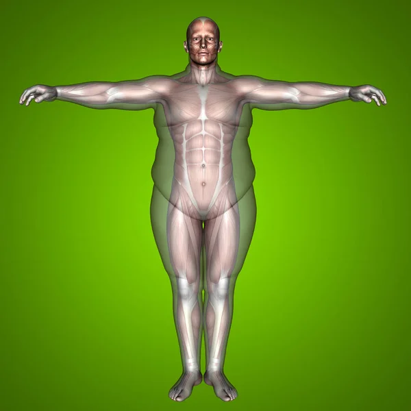 Adam kilolu vs ince uygun — Stok fotoğraf
