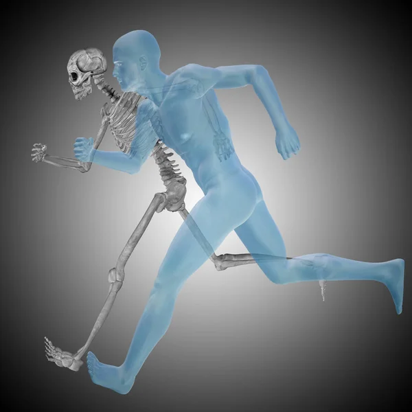 Скелет і тіло як у рентгенівському діапазоні — стокове фото