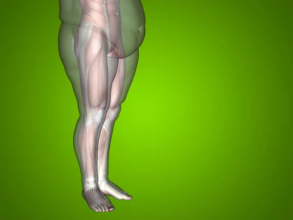 Sobrepeso vs homem de ajuste fino — Fotografia de Stock