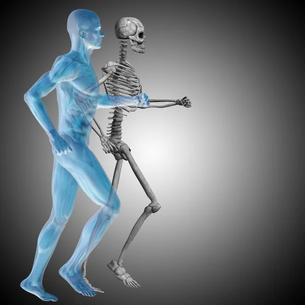 Skeleton and body as in a x-ray — Stock Photo, Image