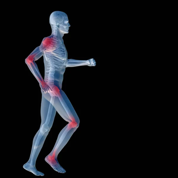 Anatomia dell'uomo umano — Foto Stock