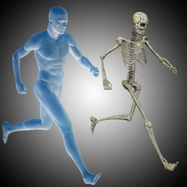 Squelette et corps comme dans une radiographie — Photo
