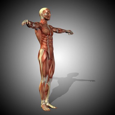 kavramsal güçlü insan