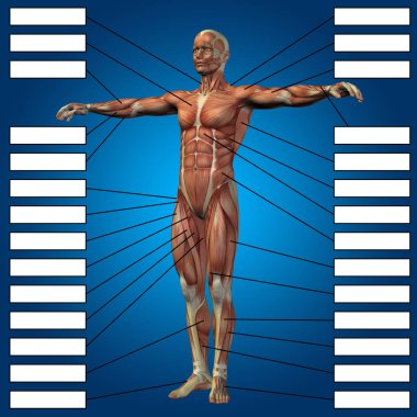 adam kasları ve metin kutuları