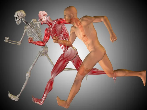 Esqueleto e corpo como em um raio-x — Fotografia de Stock