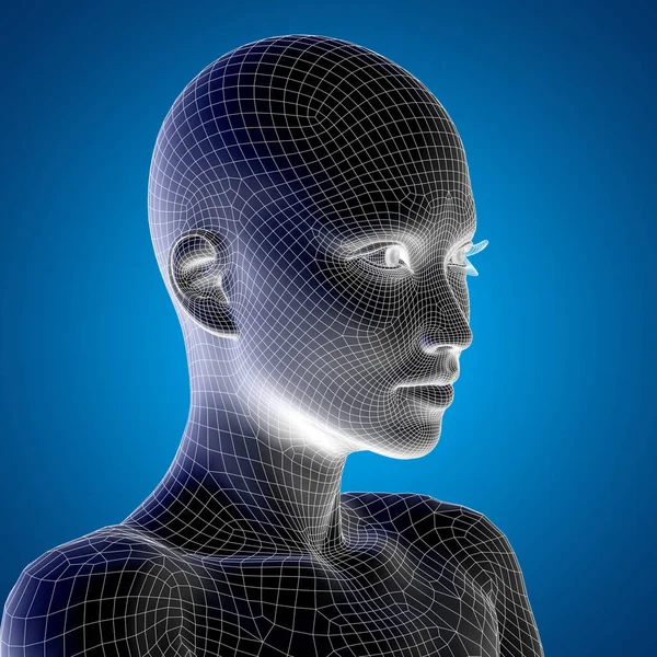 Human female head — Stock Photo, Image