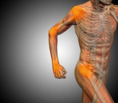 gri arka plan üzerinde insan anatomisi