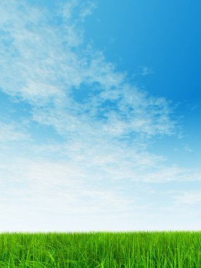 Mavi gökyüzü ile yeşil çimen